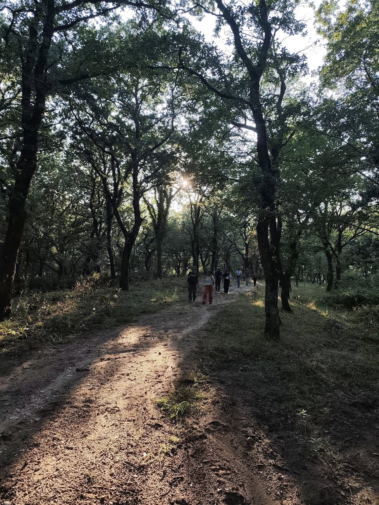 Lor.Sa. Star Trekking immagine 3