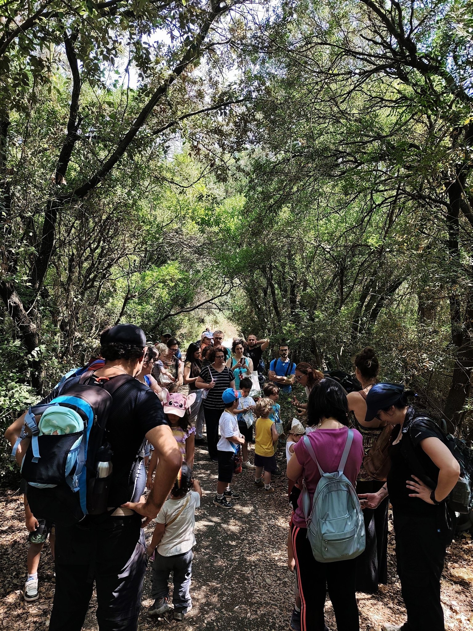 Lor.Sa. Star Trekking immagine 7