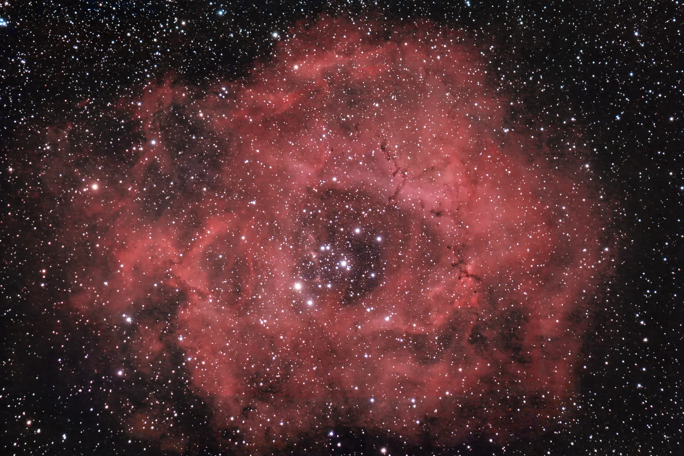 Nebulosa Rosetta
