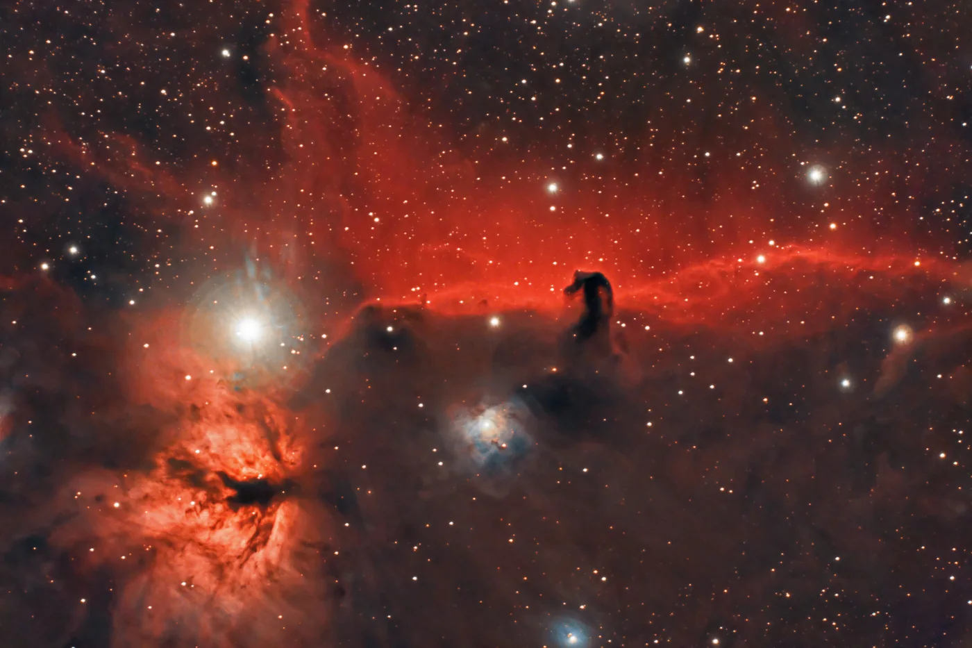 Nebulosa Testa di Cavallo
