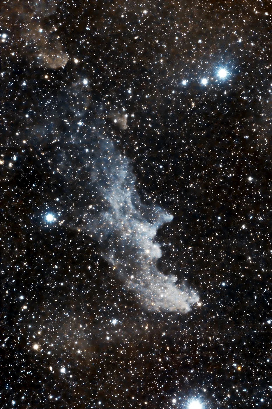 Nebulosa Testa di Strega