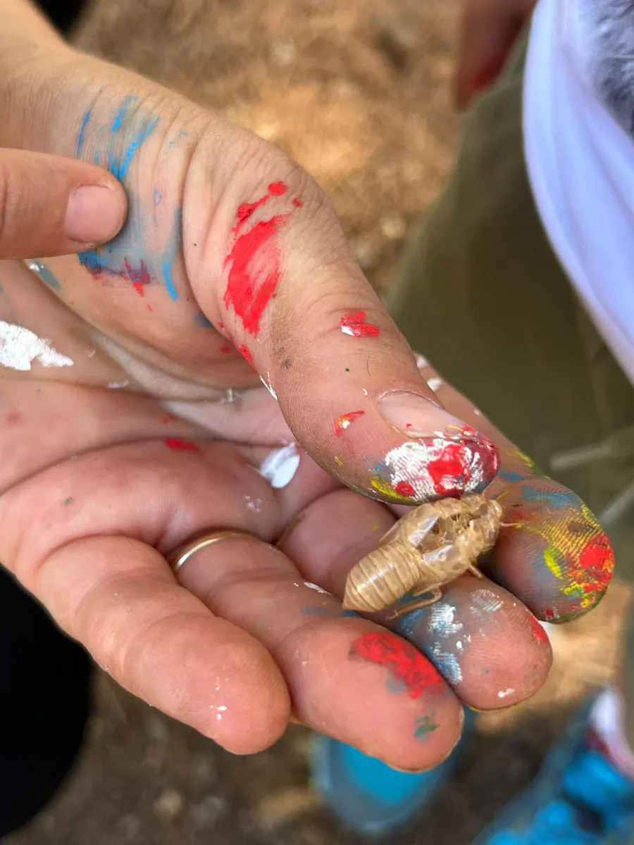 Attività Baby Trakking nella natura, foto 5